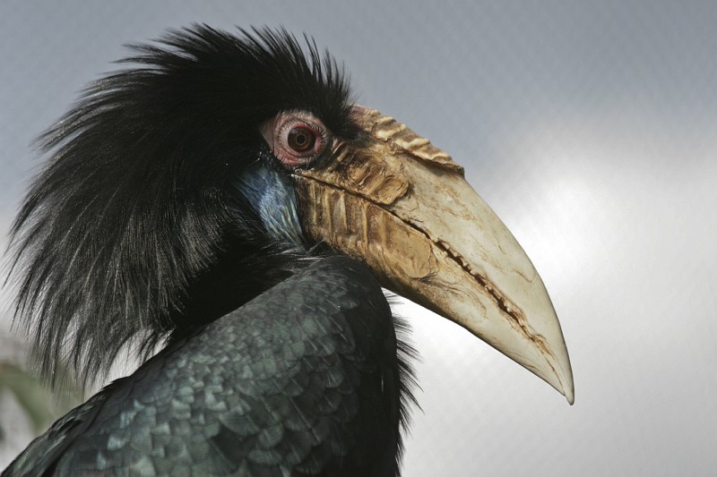 Fotoclubje Blijdorp 2008-109.jpg